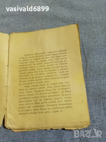 Шницлер - Слепият Джеронимо , снимка 5 - Други - 55936961