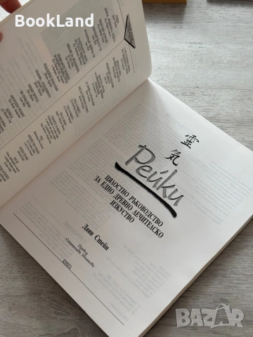 Рейки – Даян Стейн, Кибеа , снимка 9 - Други - 53295806