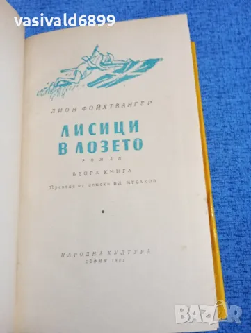 Лион Фойхтвангер - Лисици в лозето 2, снимка 5 - Художествена литература - 50086533