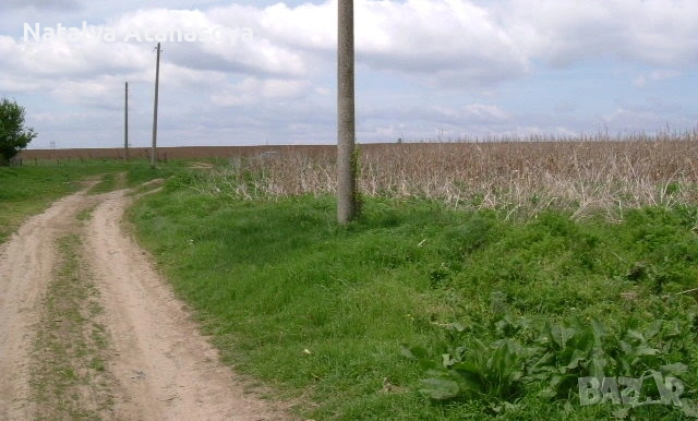 Парцел за продажба в Ведрина, Добрич, снимка 6 - Парцели - 53634666