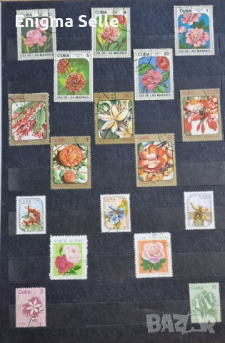 Колекция от пощенски марки , снимка 5 - Филателия - 52777571