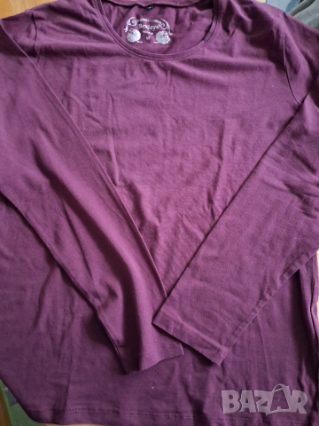 Дамски блузи с дълъг ръкав, снимка 3 - Блузи с дълъг ръкав и пуловери - 52752154