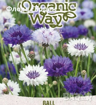 СЕМЕНА - Цветя едногодишни, снимка 13 - Сортови семена и луковици - 44836072