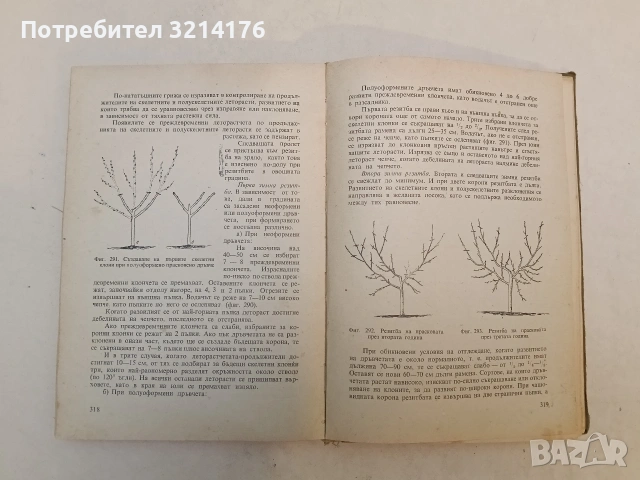Нагледно ръководство по овощарство. Второ преработено и допълнено издание - Цочо Спасов, снимка 3 - Специализирана литература - 53581681