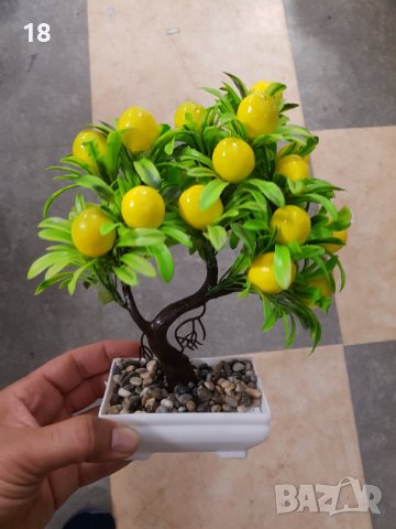 Бонзай , Бонсай, снимка 4 - Декорация за дома - 40376348