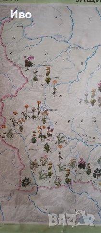 Голяма стенна карта на защитени растения, снимка 4 - Колекции - 41305987