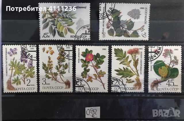 Флора - цена на всяка снимка!, снимка 5 - Филателия - 53456665