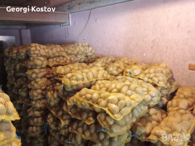 Картофи от производител , снимка 4 - Домашни продукти - 51990328