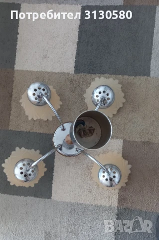 полилей  , снимка 5 - Полилеи - 50566303