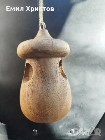 Дървена Гъбка