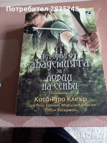 Хрониките на Магнус Бейн/ Истории от академията на ловците на сенки , снимка 2 - Художествена литература - 48199694