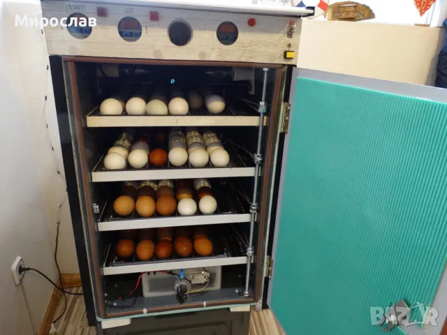 Инкубатори-изработвам, снимка 8 - За селскостопански - 44974245