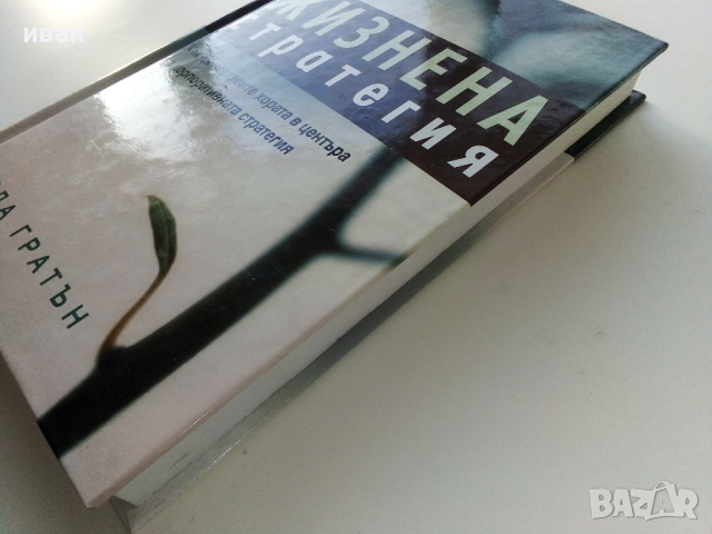 Жизнена стратегия - Линда Гратън - 2002г., снимка 11 - Други - 44567338