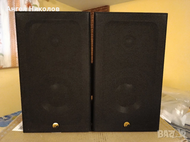 Продавам тонколони SWANS DIY 2.2, снимка 2 - Тонколони - 53480593