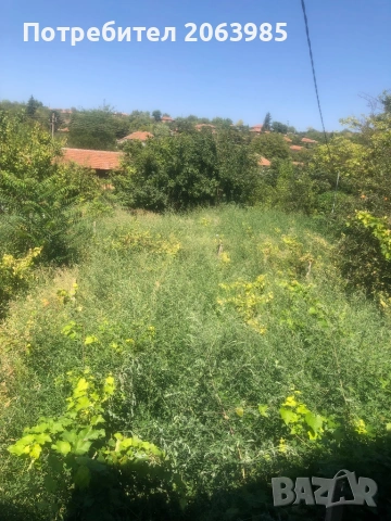 Къща с двор и геран, снимка 13 - Къщи - 53751952