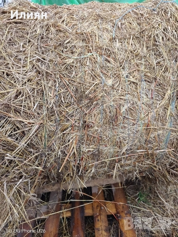 Рулонни бали Балур 160/130, снимка 2 - За селскостопански - 52594836