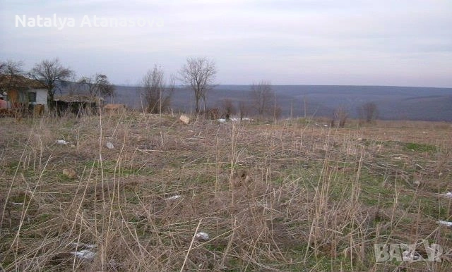 Парцел за продажба в Сърнец, област Добрич, снимка 10 - Парцели - 53656540