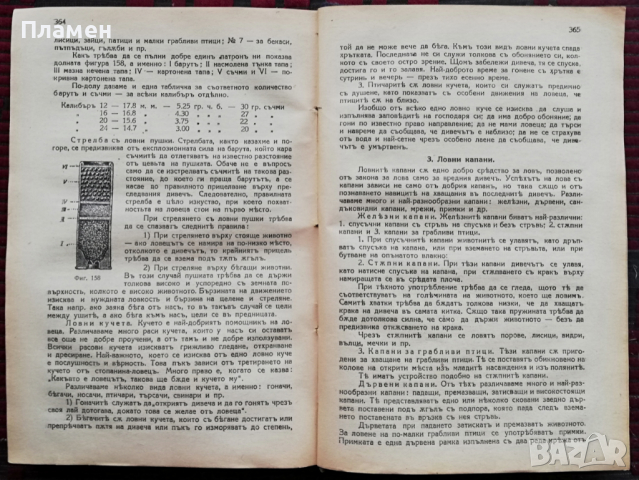 Ръководство по елементарно лесовъдство С. Сотиров, Д. Стефанов, снимка 3 - Антикварни и старинни предмети - 36171709