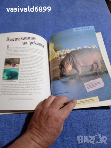 "Водни животни", снимка 10 - Енциклопедии, справочници - 51761785