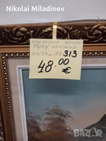 Картини с маслени бои върху платно , снимка 17 - Картини - 56322024