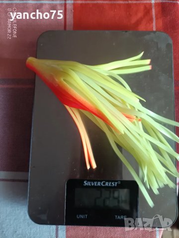 монтаж за сом " светулка"230 гр с тракалка и повод по избор , снимка 5 - Такъми - 50111274