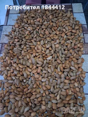 Продавам бадеми с черупката 