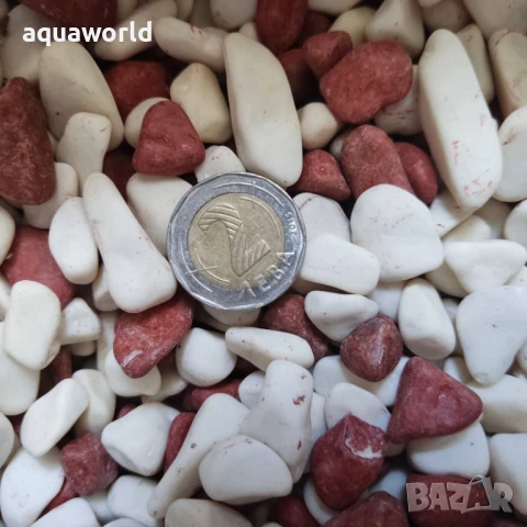 "ПРОМОЦИЯ" Грунд Бяло с кафяво 8-12 мм , снимка 2 - Оборудване за аквариуми - 51094094