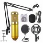 Кондензаторен микрофон с рамо и поп-филтър - 2 варианта, снимка 2