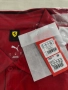 Puma Scuderia Ferrari F1 - Оригинална мъжка тениска с яка, снимка 5