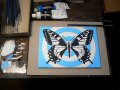 Рисувам по поръчка картини с пеперуда .