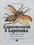 Ентомология в картинки - В.Танасийчук - 1987г. , снимка 2