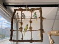 Ръчно изработена мрежа за папагали , снимка 1 - За птици - 44564648