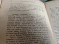 Великобългарския светоглед Найден Шейтанов, снимка 5