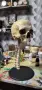  3д  Нощна лампа skeleton lamp night lamp , снимка 7