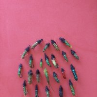 изкуствени мухи за мухарка и булдо ( бомбарда) , снимка 9 - Такъми - 43602731
