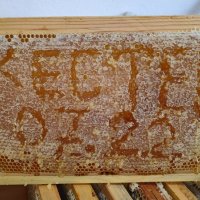Пчелни кошери - Кошери - Pchelni kosheri - Kosheri , снимка 6 - За пчели - 40275469