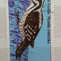 Красива колекция български пощенски марки с птици, снимка 2 - Филателия - 44804788