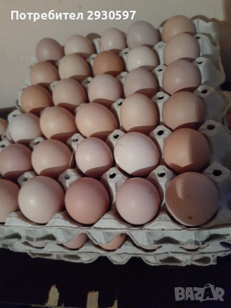 Записвам за поръчки за ВЕЛИК ДЕН Домашни кокоши яйца, снимка 1