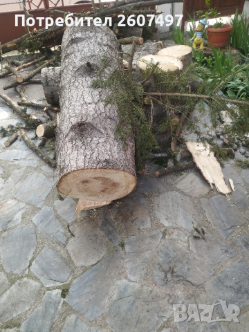 Чамов дървен материал , снимка 1