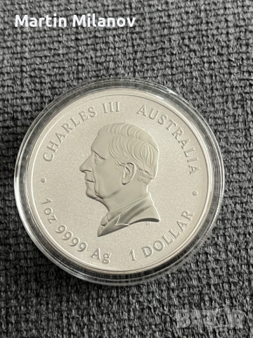 Сребърна инвестиционна монета, Годината на Змията(оцветена), лимитиран, снимка 2 - Нумизматика и бонистика - 52878815