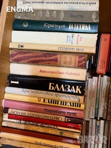 Разнообразие от книги , снимка 10 - Художествена литература - 49077016