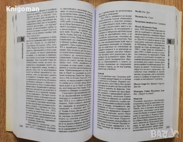 Оксфордски речник на исляма, Джон Л. Еспозито, снимка 3 - Специализирана литература - 53193859