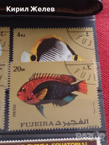 Пощенски марки две серии ЕКВАТОРИАЛНИ РИБИ ПЕРФЕКТНИ за КОЛЕКЦИЯ 37885 , снимка 7 - Филателия - 40476455