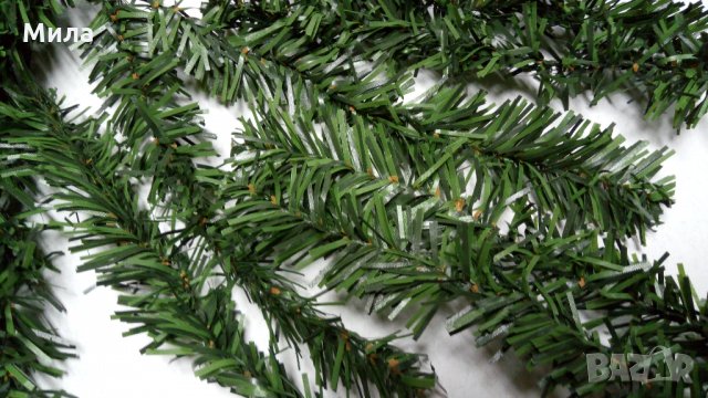 Борова клонка 20 см