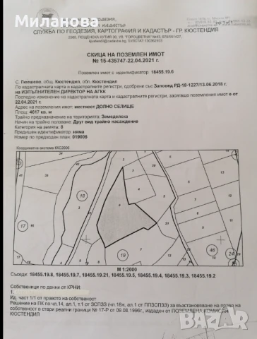 Продавам земеделска земя с.Гюешево., снимка 2 - Земеделска земя - 50913537