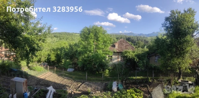 Къща с двор в с. Слатина, снимка 6 - Къщи - 51217054