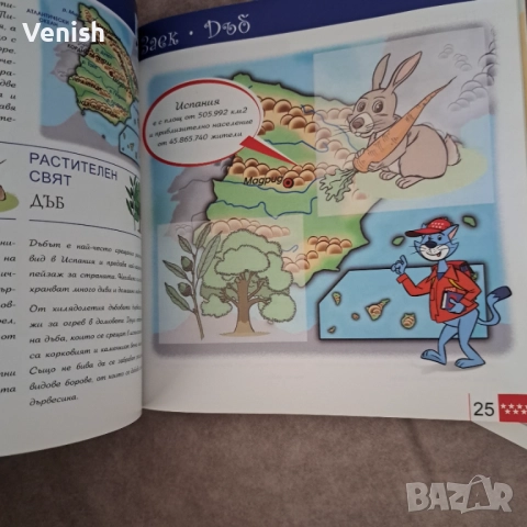 Животните на Европа и Нощните животни, снимка 8 - Детски книжки - 52483867