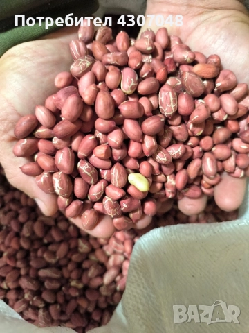 Фъстъци , снимка 3 - Хранителни добавки - 52348320