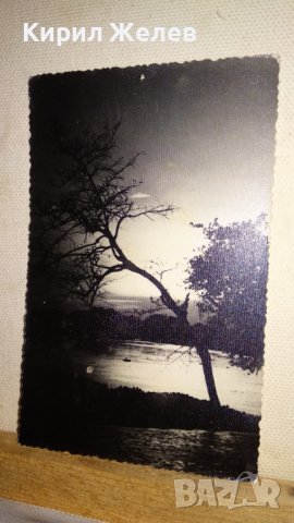 СТАРА МНОГО ЖИВОПИСНА ПОЩЕНСКА КАРТИЧКА ПОЛША ХУДОЖЕСТВЕНА ЧЕРНО-БЯЛА ФОТОГРАФИЯ ПРИРОДА 32448, снимка 12 - Филателия - 38675589