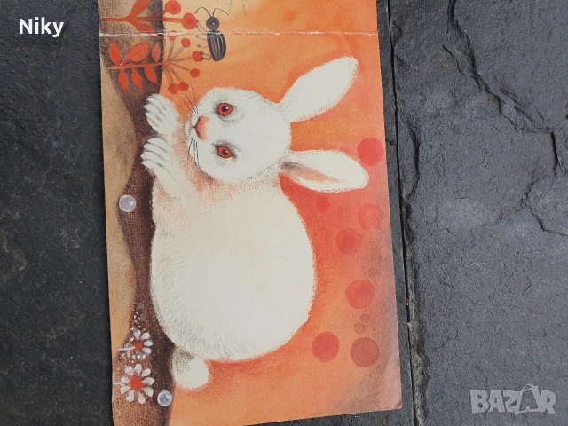 Tiere in Wald und Feld - Животните в гората и полето , снимка 5 - Детски книжки - 53506964